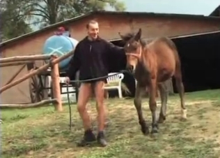 Horse cock for Daddy