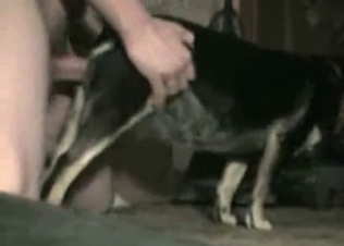 Close-up fucking with a thick doggo
