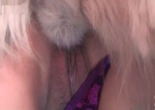 Retriever gets its sexy on