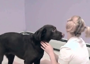 Puppy getting naughty