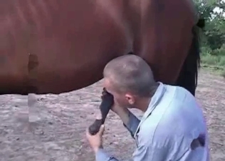 Hung horse revealing its dick