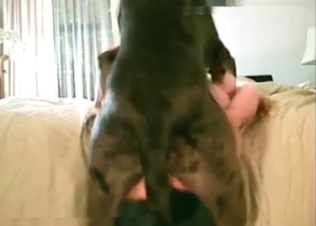Big booty beauty fucking animals