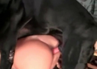 Juicy cunt destroyed by a Doberman