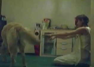 Dog gets seduced by this chick