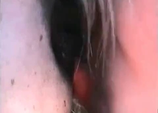 Her pussy is used by a pony